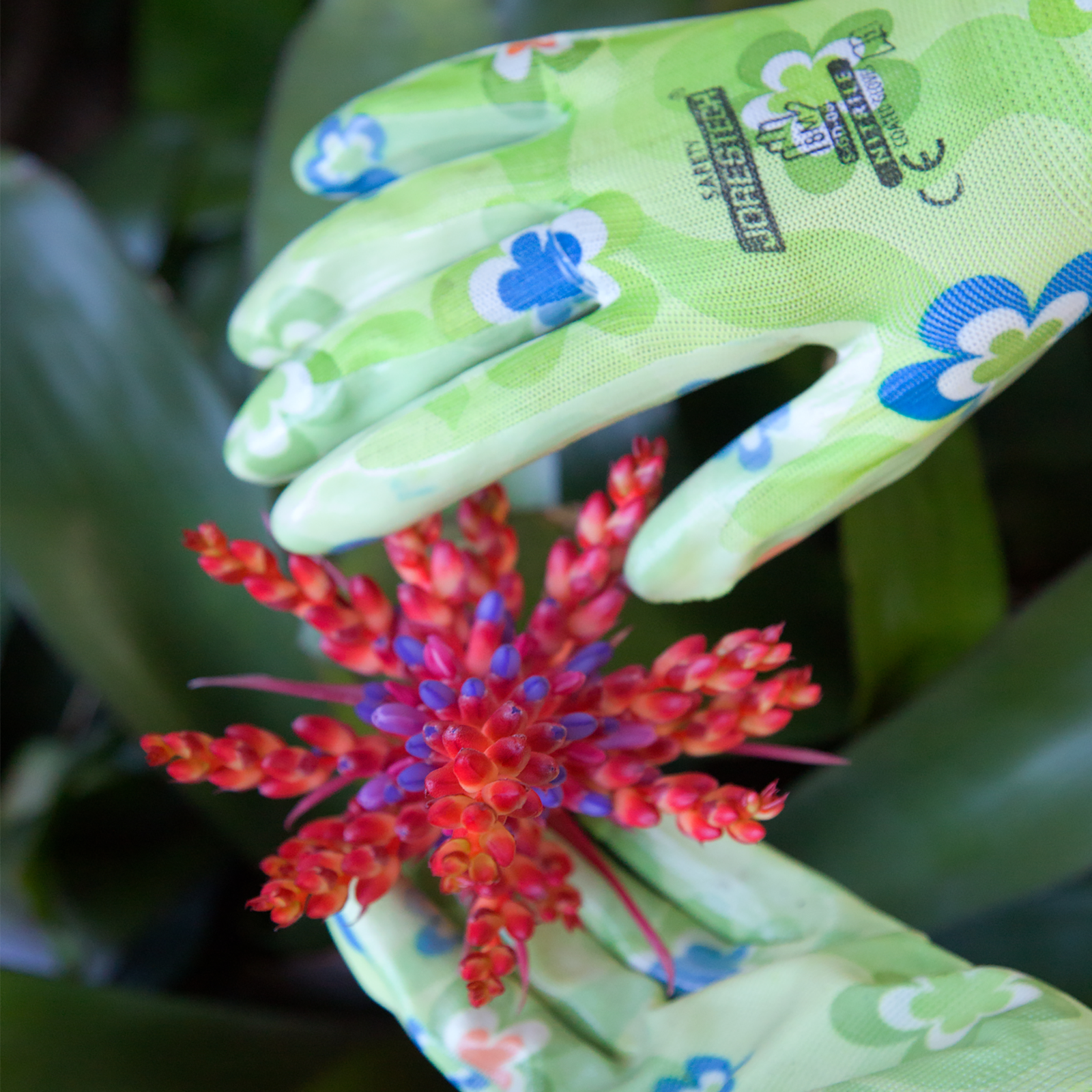 Close up of the JORESTECH safety garden gloves with nitrile dipped palms next to a red bromeliad
