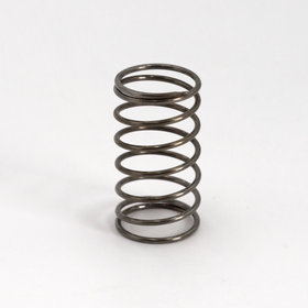 Check valve spring