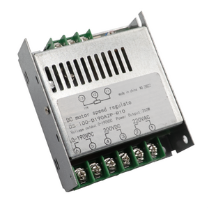 DC Motor Speed Regulator, DS-100-D190A2P-R10 for E-CBS-1010I-220 