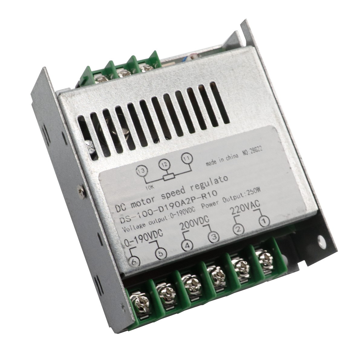 Ds 100 DC Motor Speed Regulator, DS-100-D190A2P-R10 for E-CBS-1010I-220 for ...
