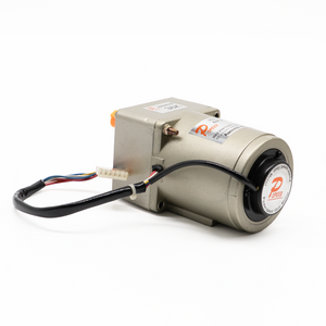 PowerSpeed Gear Motor - Induction Motor - 4IK25RGN-C