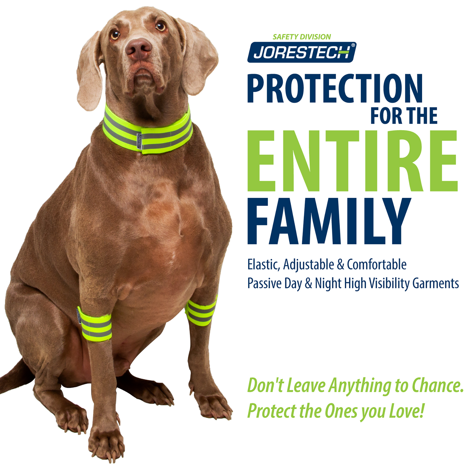 A dog wearing the reflective bands on his front legs and neck. Text reads: Protection for the entire family elastic, adjustable & comfortable. Passive day & night high visibility garments. Do not leave anything to chance. Protect the ones you love!