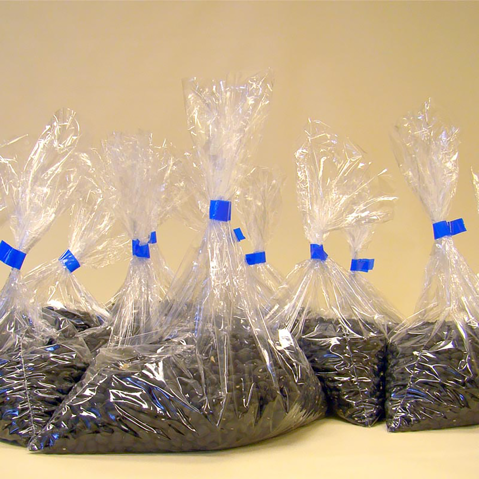 Several clear plastic bags filled with black beans and closed seal with JORESTECH blue tape