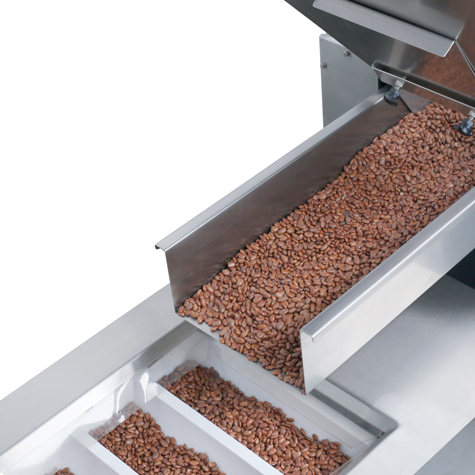 Close-up of the vibratory feeder dispensing red beans onto the moving conveyor of the Jorestech stainless steel bucket elevator